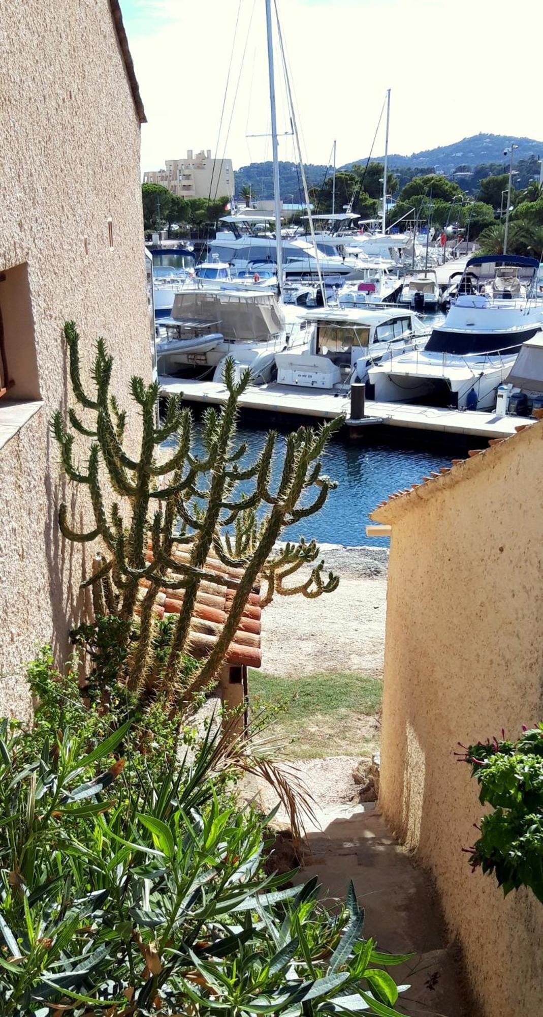 T2 Terrasse, Bormes Les Mimosas La Faviere, 5 Pers, 5 Mn A Pieds Des Plages Et Commerces Exterior foto